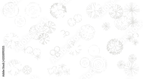 Photos Landscape Architecture Tree Plan Symbols Top View Vector Set for Garden Design,