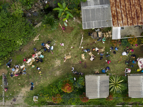 Aerial view of people performing the ritual slaughter of sacrificial animals for Eid al-Adha in a grassy yard surrounded by rooftops and trees in Kecamatan Kalikajar, Jawa Tengah, Indonesia.