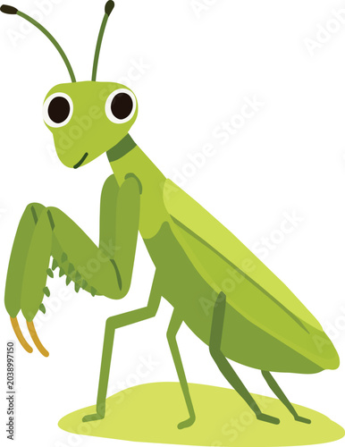 Fotografija A cute green praying mantis standing with folded raptorial forelegs, illustrated in a simple flat vector cartoon style, perfect for children’s educational and nature-themed designs