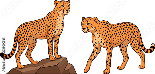 Photography Wild Cheetah Character Vector Set with Spotted Big Cats Standing on Rock and Wal
