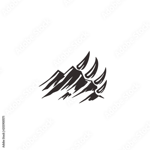 puma's paws on the mountain