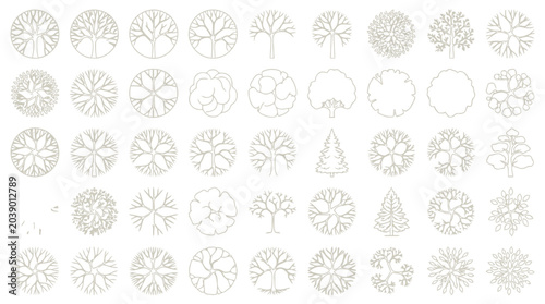 Photos Minimalist Tree Plan View Symbols and Landscape Architecture Vector Icons for Si