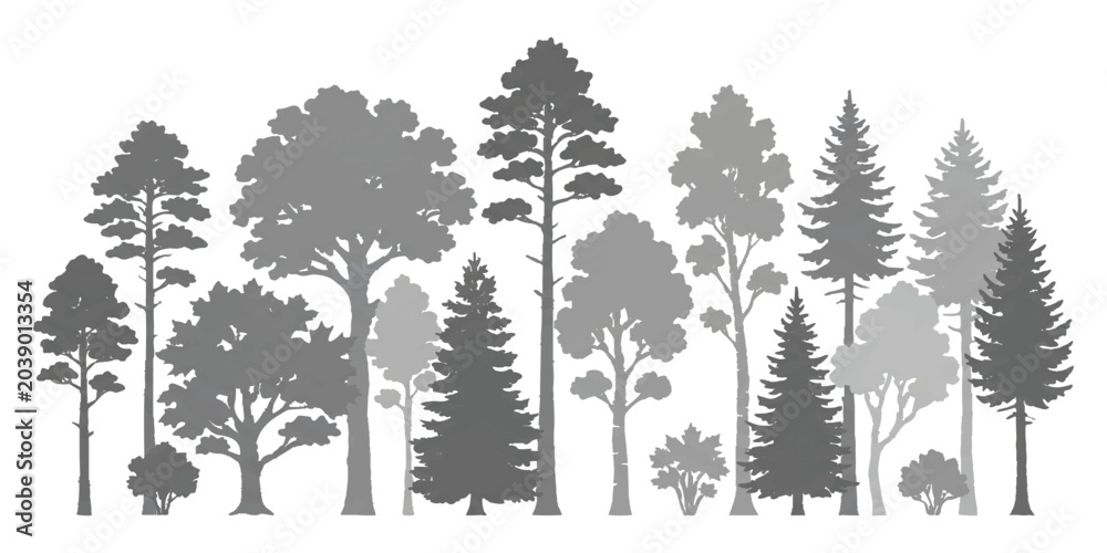Obraz premium Set of various forest trees silhouettes including pine spruce and deciduous trees for nature landscape design elements
