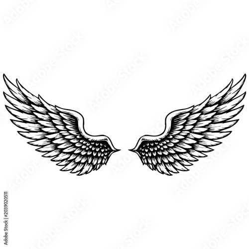 Vintage Angel Wings Vector Illustration, Black and White Hand Drawn Feather Wings Tattoo Design