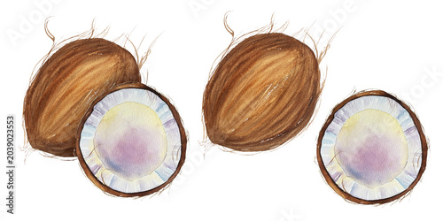 Foto Watercolor illustration set of whole and cut coconut with flesh and brown shell in natural style