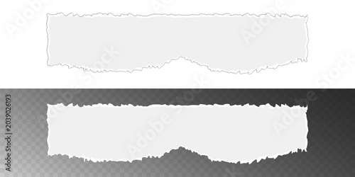 White paper ripped edge collection PNG isolated on transparent background with decorative torn strips and realistic paper details