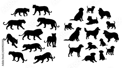 Photography Feline Silhouette Collection Featuring Wild Cats and Domestic Cat Poses for Wild