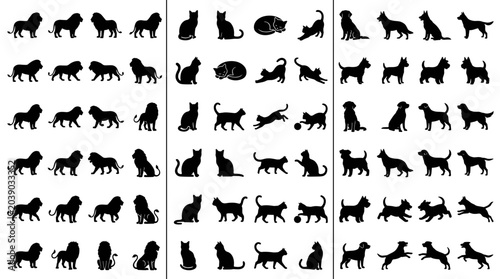 Photography Animal Silhouette Collection Featuring Wild Mammals Domestic Pets Birds and Wild
