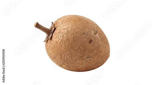 A ripe sapodilla fruit with its rough brown skin and a small stem attached, isolated on a white background