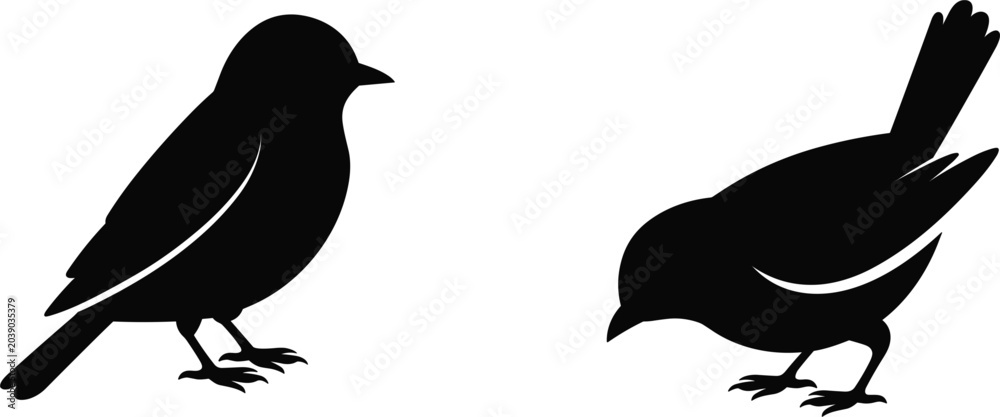 Fototapeta premium Small Songbird Silhouettes Featuring Perched and Foraging Birds in Nature