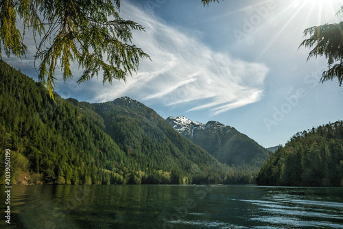 Cedar & bay; Haida Gwaii; British Columbia