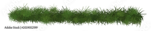 Foto Realistic green grass border isolated on transparent background, fresh lawn tuft