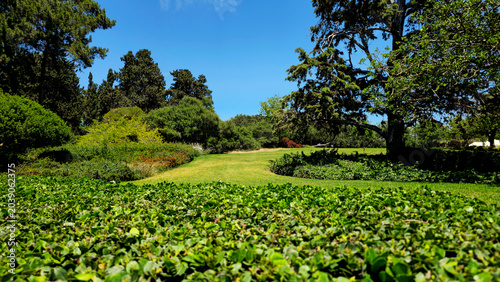 Beautiful green background of a well maintained park