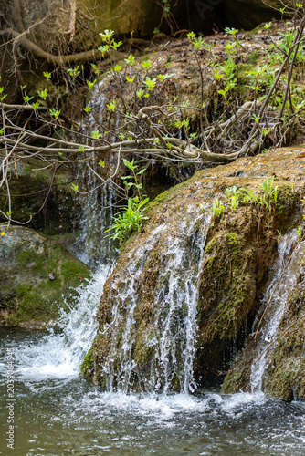 Foto Detailed vertical shot of a vibrant, moss-covered boulder serving as a natural waterfall tier