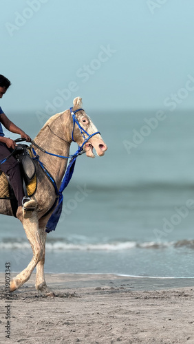Obraz na plátně horse and rider on the beach