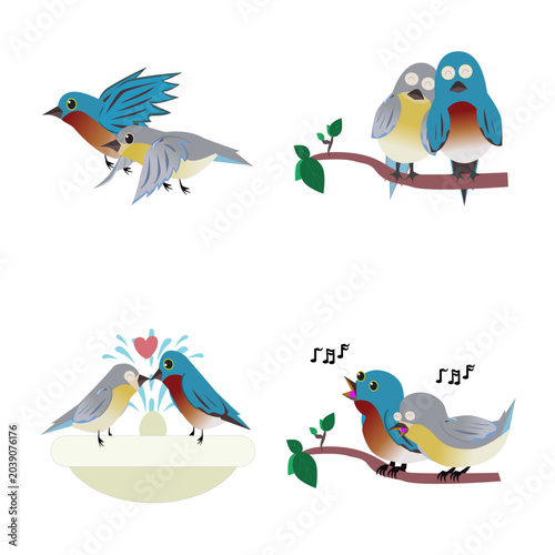 Bluebirds couple vector set in different actions including flying, standing together, flirting, and singing.