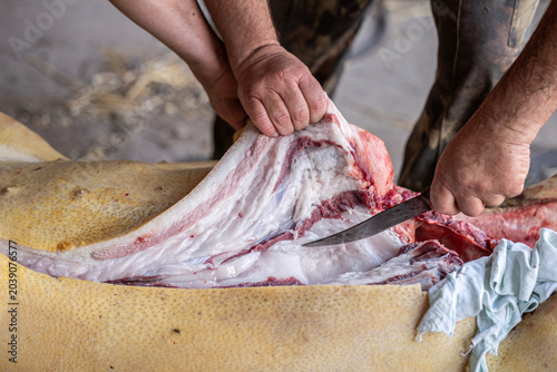 Canvastavla Close-up view of a butcher cutting and peeling back the thick layer of skin and