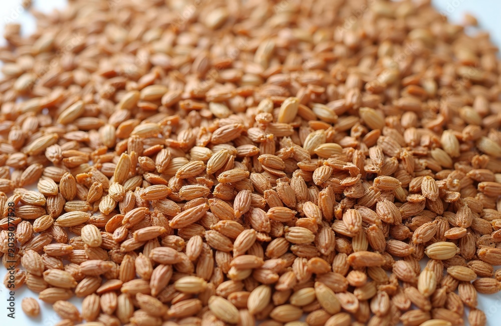 Obraz premium Flax seeds pile on clean white background. Tiny oval seeds have ridges and light brown color. Healthy superfood for diet. Organic ingredient.