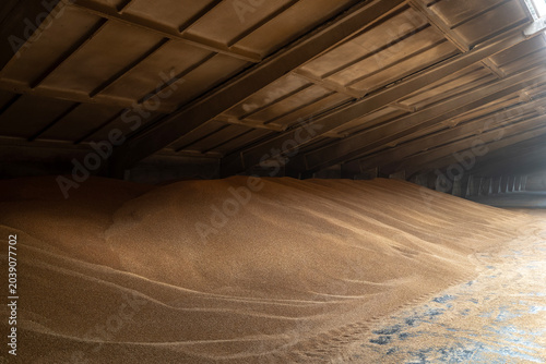 Large mounds of harvested wheat grain stored inside a concrete agricultural warehouse, representing bulk grain storage, crop logistics, and industrial food supply distribution infrastructure