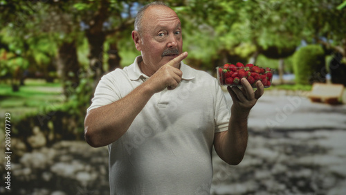 Slika na platnu Senior hispanic man pointing finger at a plastic punnet of strawberries while holding it in his bare hand in a forest park setting; playful curiosity