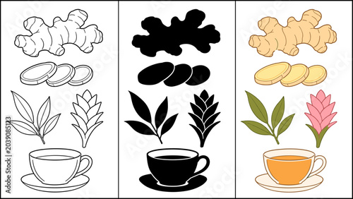 Ginger root, slices, leaves, flower, and cup of tea illustration
