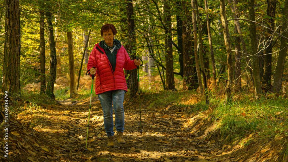 Fototapeta premium COPY SPACE: Retired female listening to a podcast while walking around woods.