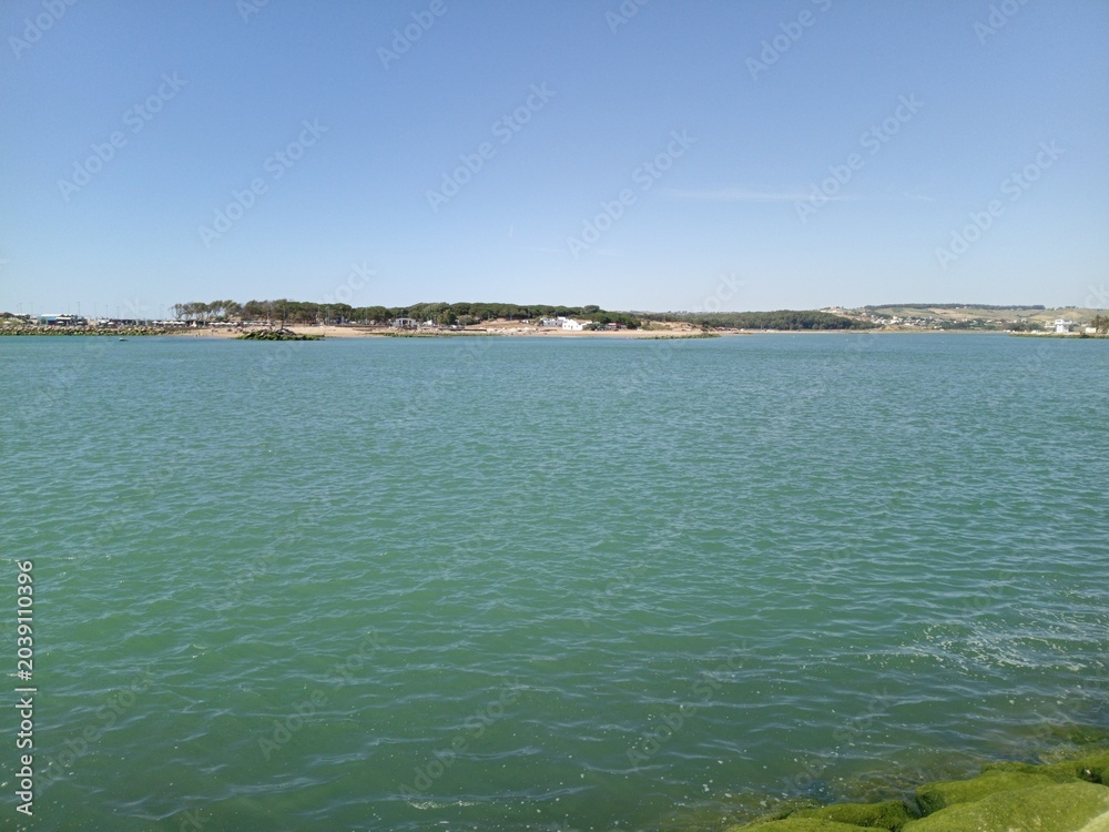 Naklejka premium Green Algae Rocks and Calm Turquoise Waters on a Sunny Day