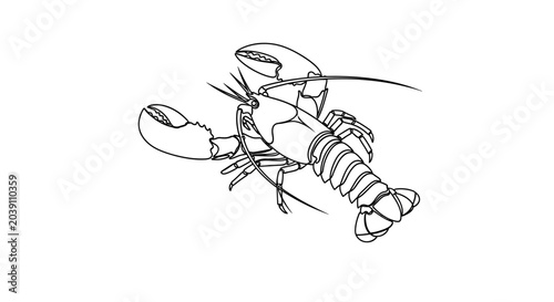 Photos Detailed drawing of a lobster crustacean.
