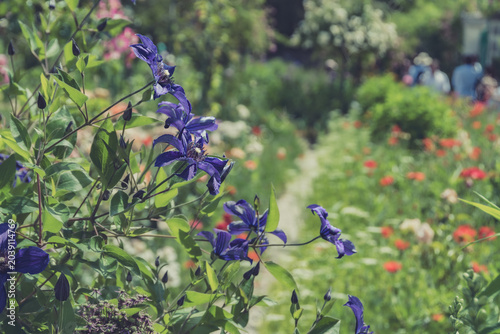 Dans le jardin