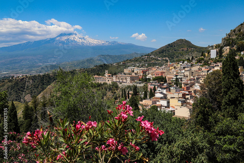Bild auf Leinwand Panoramic view of Taormina town with pink oleander flowers in the foreground and