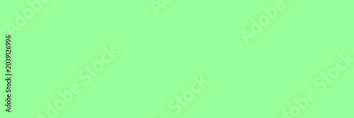 A Solid Pastel Backdrop: A uniform, flat pastel green surface, offering a clean and versatile canvas for graphic design or branding.