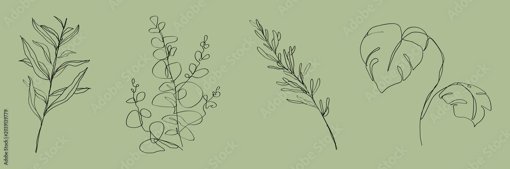 Fototapeta premium Vector illustration of minimalist plant line drawings on a green background.