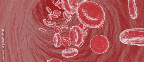 Fotografie Red Blood Cells Flowing Through Vein — 3D Medical Illustration, Erythrocytes in