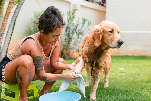 Fotografie Woman cleaning golden retriever paw outdoors, pet grooming routine
