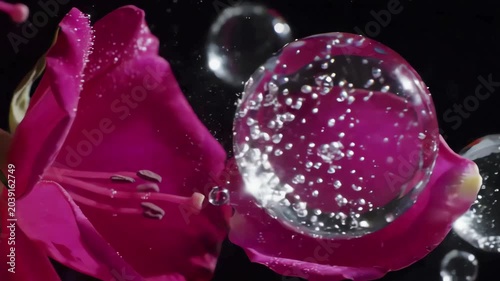 Close Up Water Droplets Flowing Pink Flower Macro Slow Motion Commercial Stock Video