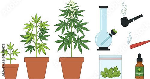 Fotografia Cannabis Plant Growth Stages with Marijuana Smoking Accessories Bong Pipe Oil Bo