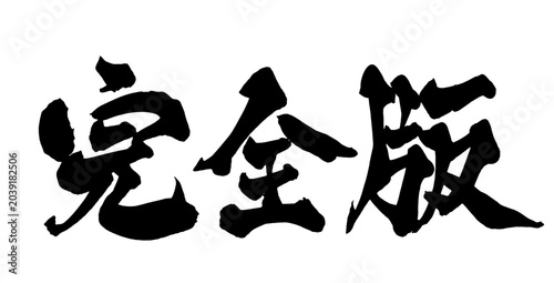 Photos 完全版 Complete Edition Japanese Calligraphy 筆文字 手書き 日本語 和風