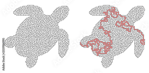 Turtle shape maze puzzle with solution and without