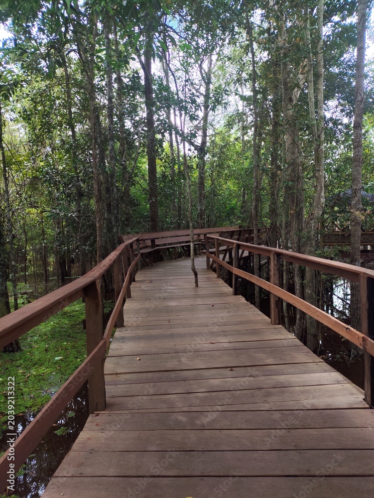 Fototapeta premium wooden bridge in the forest, Nyaru Menteng tourist spot, Palangkaraya, Central Kalimantan