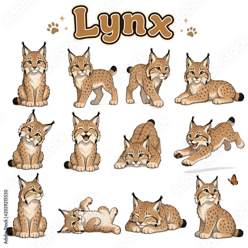 Lynx Wild Cat Line Art Vector Icon Set, Feline Wildlife Outline Illustration Collection