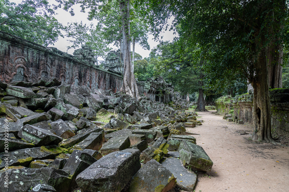 Fototapeta premium Ancient stone ruins overgrown with moss and trees at Ta Prohm temple in Siem Reap, Cambodia. The temple is famous for the trees growing out of the ruins.