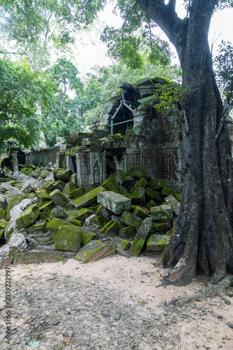 Ancient stone ruins covered in moss at Ta Prohm Temple, Angkor Wat, Cambodia. The temple, built in the 12th century, is largely unrestored and overgrown.