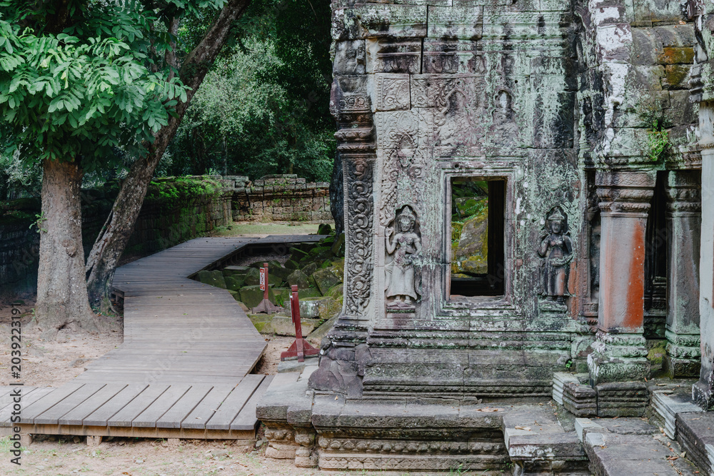 Fototapeta premium Cambodia, Siem Reap. A wooden walkway leads through the ancient ruins of Ta Prohm temple, overgrown with moss and jungle vegetation.