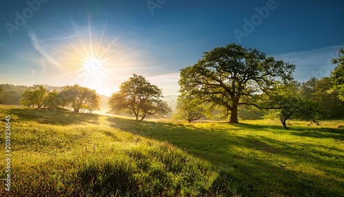 serene landscape with trees under a bright sun