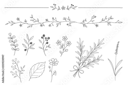 Black and White Botanical Decoration Set, Hand-drawn Floral Elements