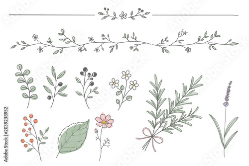Muted Color Botanical Decoration Set, Hand-drawn Floral Elements