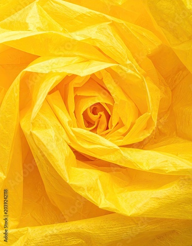A close-up of a bright, swirled yellow object