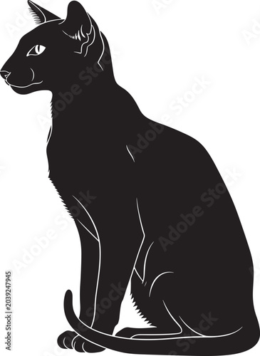 Photography sleek black egyptian mau cat sitting in a relaxed pose with detailed fur texture