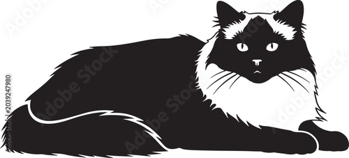 Canvastavla Black and white cat illustration with long fur and bright eyes lying down on a p