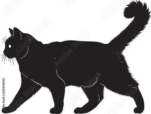 Photography sleek black silhouette cat with long bushy tail standing in a poised and elegant